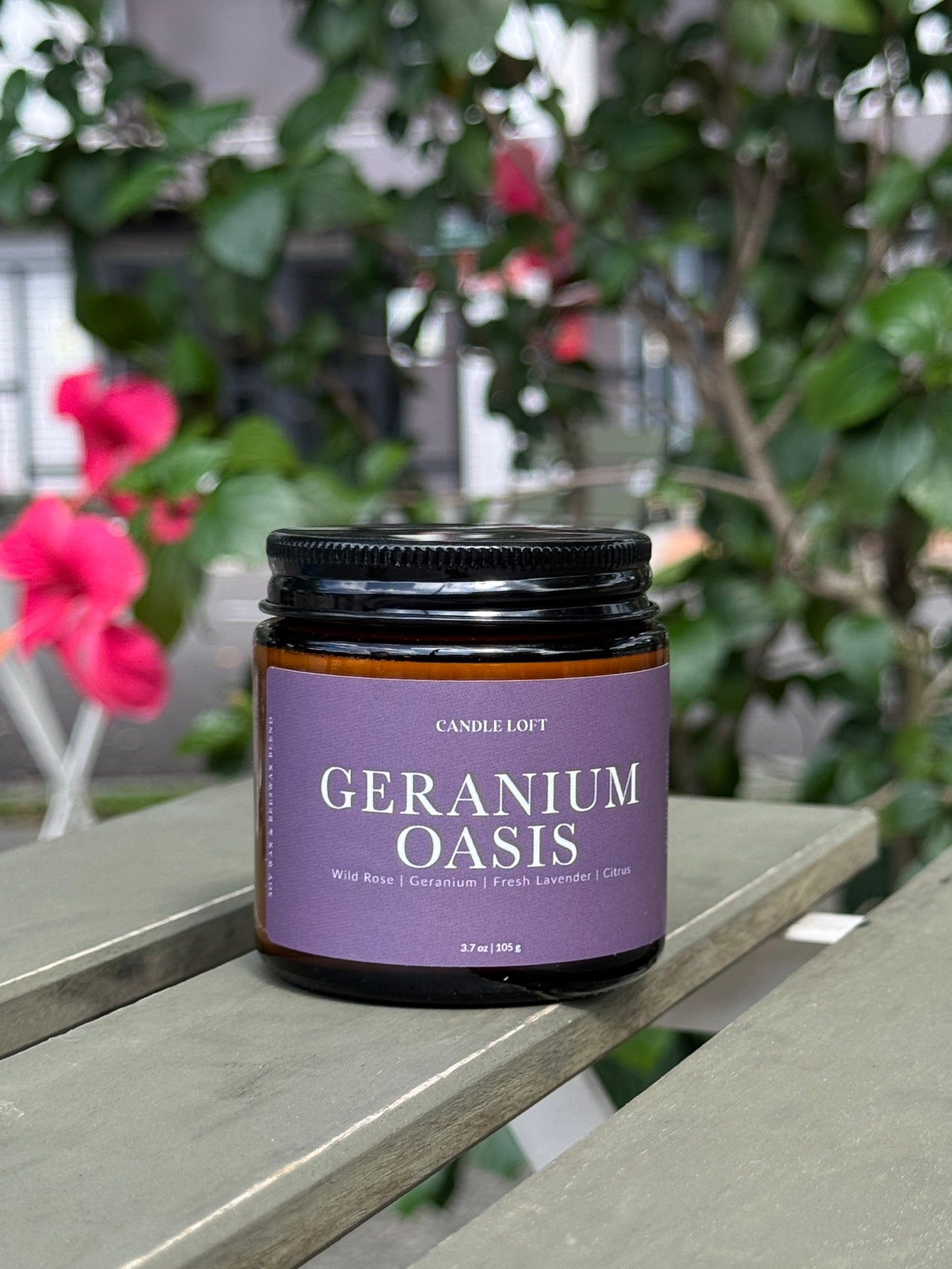 Geranium Oasis